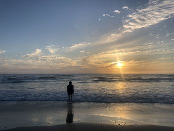 Rear view of man standing on beach during sunset