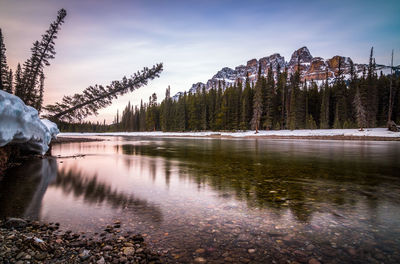Scenic view of lake in forest against sky