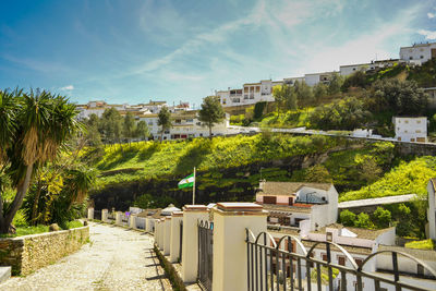 Footpath amidst trees and buildings in city against sky