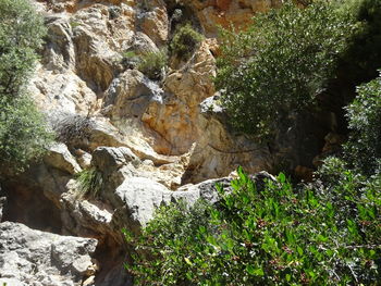 Rock formation in cave