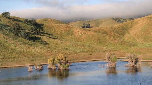 Scenic view of landscape and lake against sky