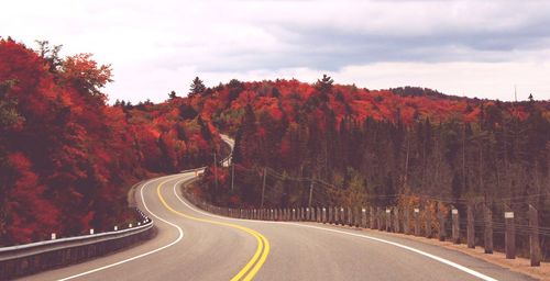 Empty road amidst trees against cloudy sky during autumn