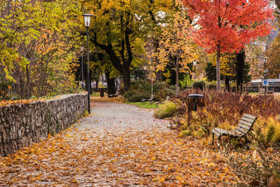 Footpath amidst trees in park during autumn