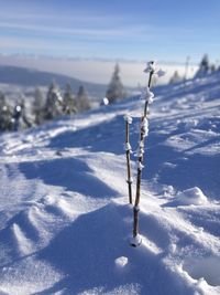 Snow on field against sky