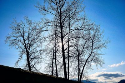 Low angle view of bare trees against blue sky