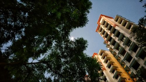 Low angle view of trees against sky