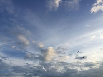 Low angle view of airplane flying in sky