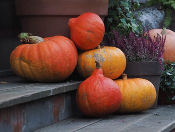 Autumn decoration with pumpkins, heather outside the flower shop. halloween and thanksgiving day. 