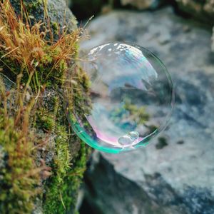 Close-up of bubbles