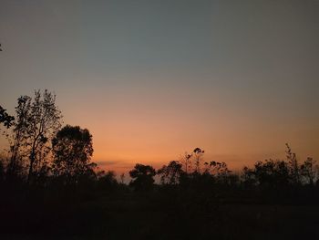 Silhouette trees against sky during sunset