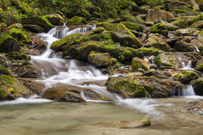 Scenic view of waterfall in forest