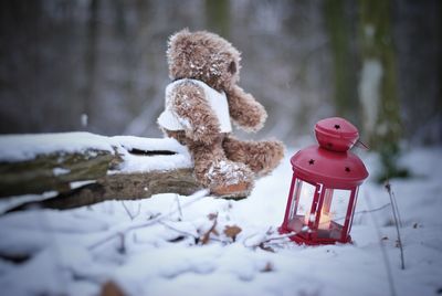 Stuffed toy on field during winter