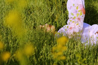 Scenic view of flowering plants on field