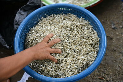 Midsection of woman holding or selection ikan teri or anchovy