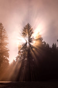 Sunlight streaming through silhouette trees against sky during sunset
