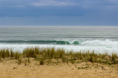 Scenic view of beach against sky