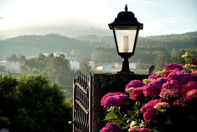 Close-up of illuminated street light against sky