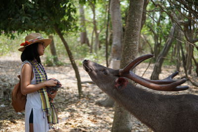 Woman looking at stag while standing in forest