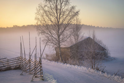 Bare trees on snow covered landscape during sunset