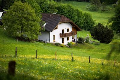 House and trees on field