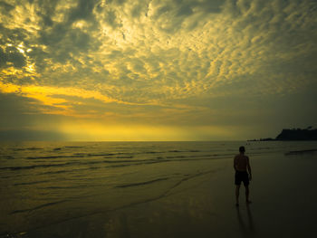 Rear view of man walking at beach against cloudy sky during sunset