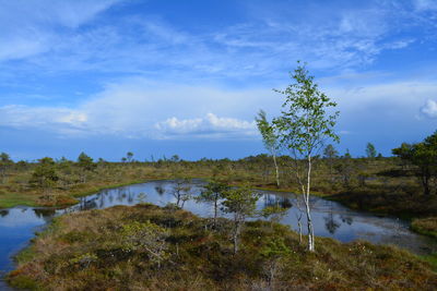 Scenic view of landscape against sky