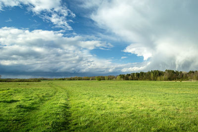 Scenic view of agricultural field against sky