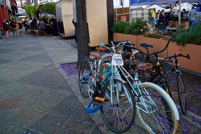 Bicycle parked by tree in city