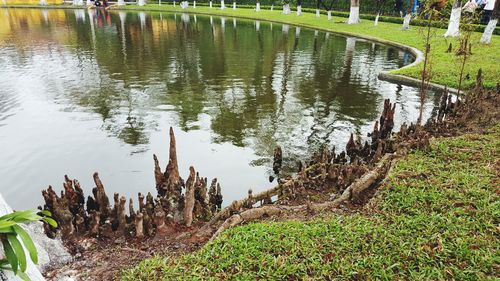 Scenic view of lake