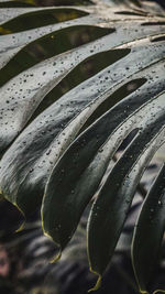 Full frame shot of water