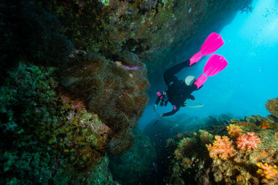 High angle view of female diver  in sea