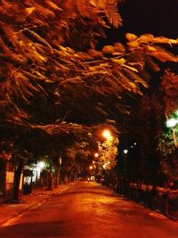 Illuminated road at night