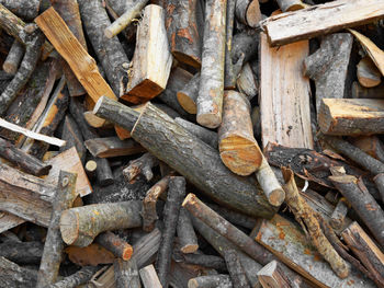 Full frame shot of logs in forest