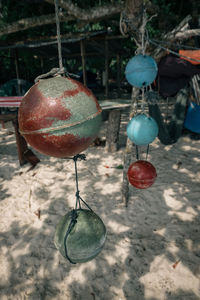 Close-up of fruits hanging on land