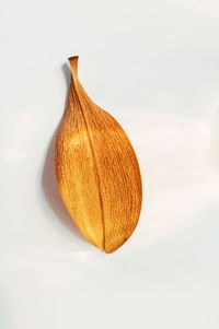 Close-up of orange against white background