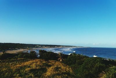 Scenic view of sea against clear blue sky