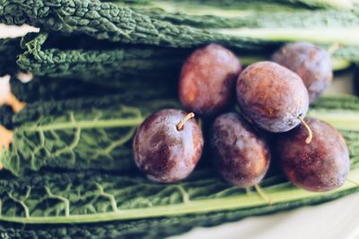 Close-up of fruits on plate