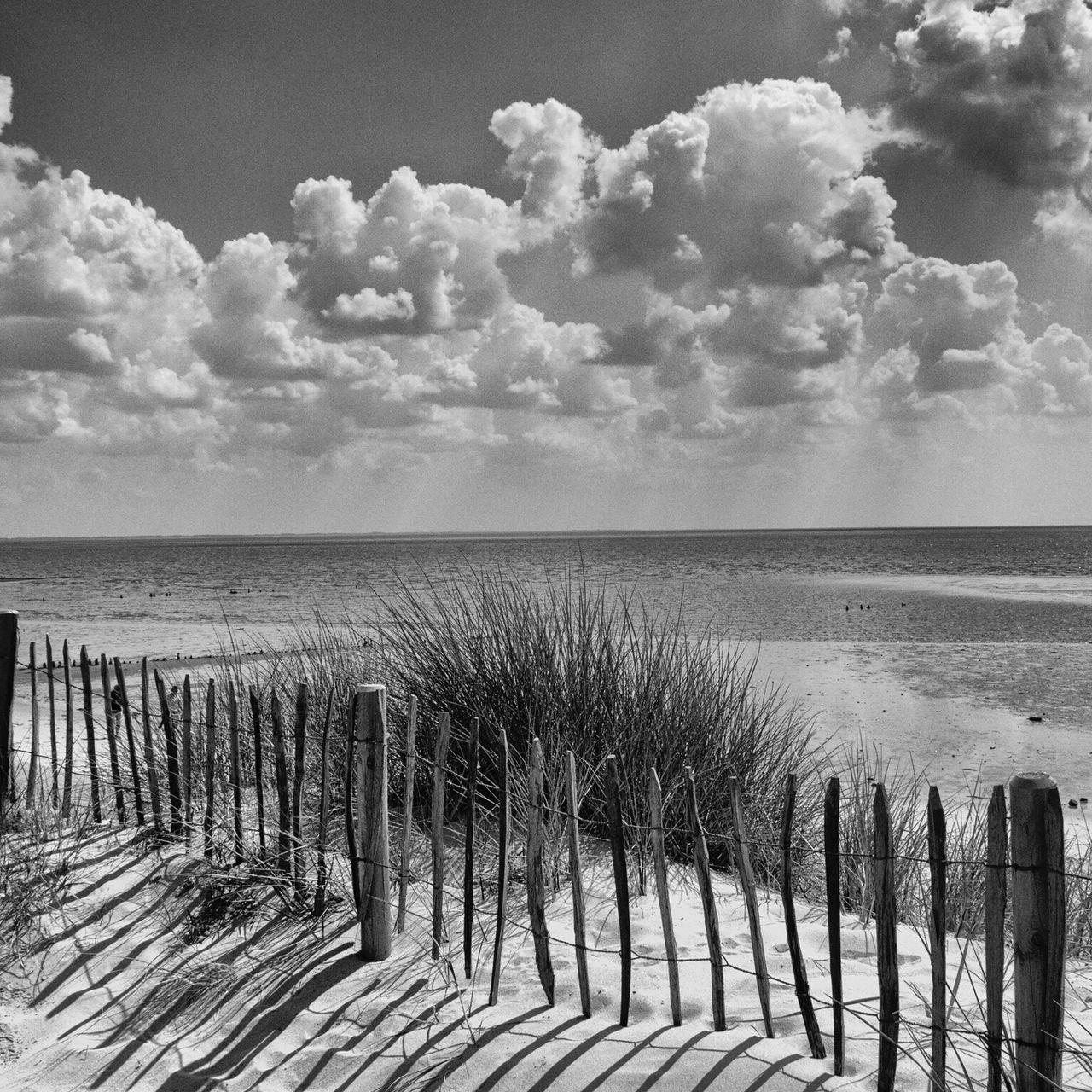 sky, nature, day, cloud - sky, no people, outdoors, sea, scenics, beauty in nature