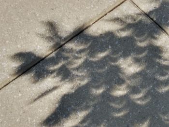 High angle view of shadow on ground