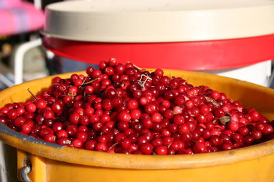 Close-up of cranberries