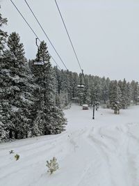 Ski lift over snow covered landscape