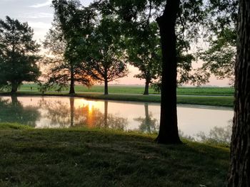 Trees on field by lake against sky