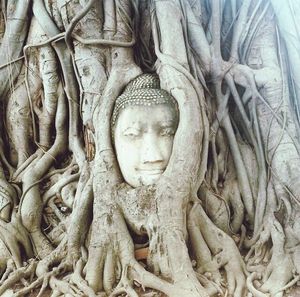 Close-up of buddha statue