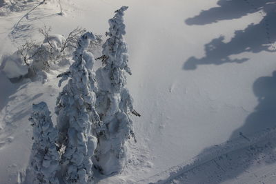 Scenic view of snow covered land