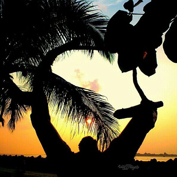 silhouette, sunset, lifestyles, leisure activity, palm tree, men, sky, tree, orange color, person, water, outline, sea, standing, outdoors, nature, beach