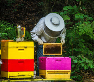 Beekeeper at work