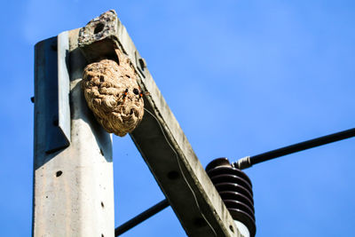 Low angle view of ropes on pole against clear blue sky