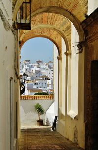 Plant and historic buildings seen through arch window