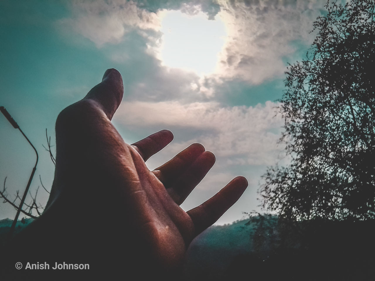 CLOSE-UP OF HAND AGAINST TREES