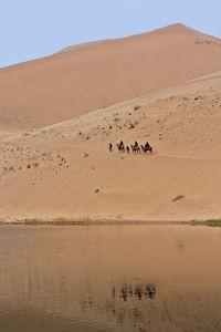 1044 lake badain e.-tourist group on bactrian camels-badain jaran area gobi desert. nei mongol-china